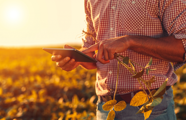 Agricultura digital e agricultura de precisão