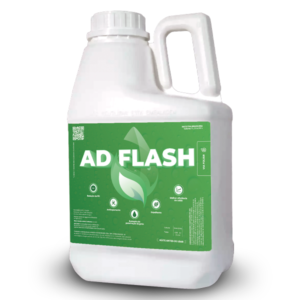 AD FLASH