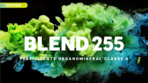 BLEND 255 - Amazon AgroSciences.jpg