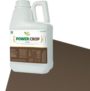 BOMBONA POWER CROP - Amazon AgroSciences