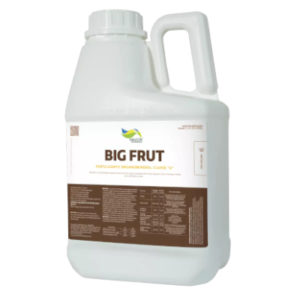 Big Frut - Amazon AgroSciences