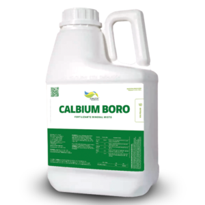 CALBIUM BORO