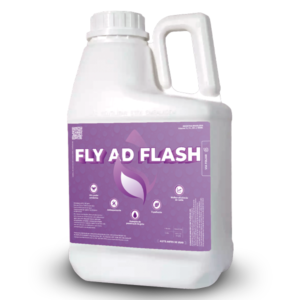 FLY AD FLASH