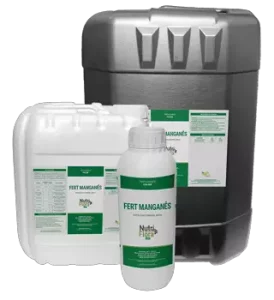 Fert Manganês