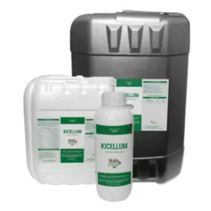 Kicellum - Amazon AgroSciences