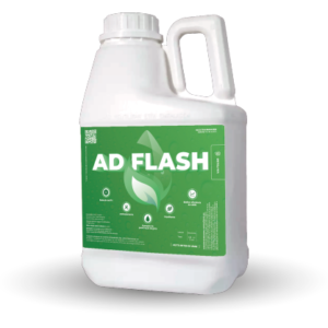 Ad flash