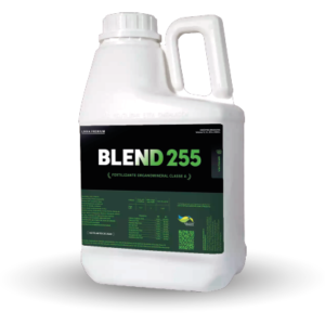 Blend 255