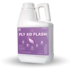 Fly ad flash
