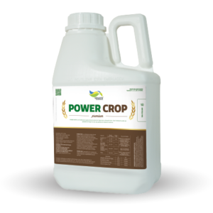 Power Crop