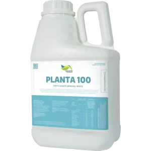 Planta 100