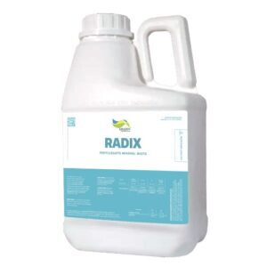 Radix