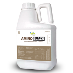 AMINO BLACK