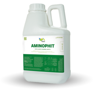 Aminophit